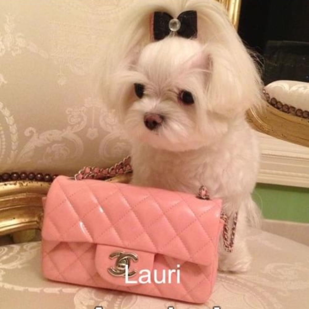 Meet your Posher, Lauri